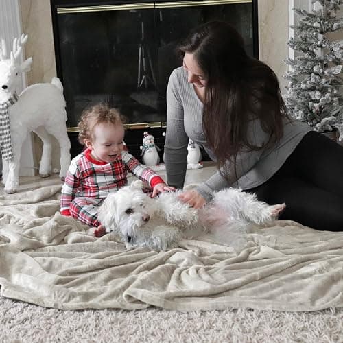 Bedsure Blankets for Bed Queen Size - Fleece Cozy Soft Blanket for Women, Lightweight Fuzzy Flannel Throw for All Seasons, Linen, 90x90 inches thumbnail 8