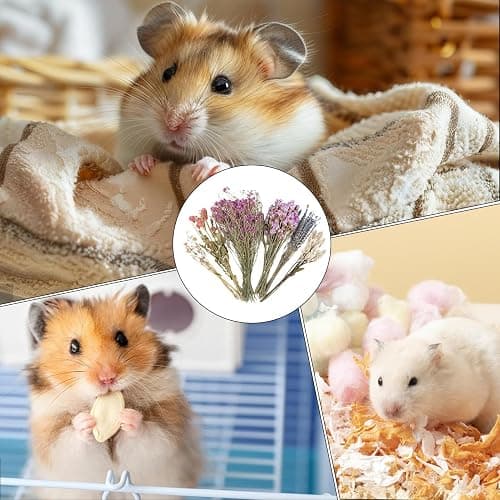 Flower Hamster Bedding, Natural Ear Of Grain Flowers Hamster Sprays Forage, Dried Flower Small Animal Bedding, House Cag & Habitat Decor For Hamsters Gerbils Rabbits(C) thumbnail 5