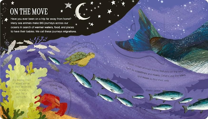 One Little Fish: Exploring Nature for Curious Kids thumbnail 4
