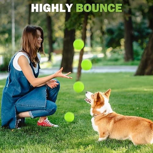 FURWEY Tennis Balls, 12/24/36/80 Pack Bulk Tennis Balls Pressureless Tennis Ball, Come with Mesh Bag for Easy Transport,Pet Dog Playing Balls, Good for Beginner Training Ball thumbnail 6
