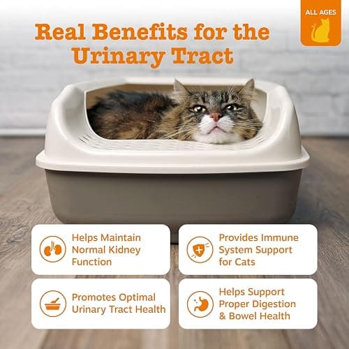 Zesty Paws Urinary Tract Cat Mousse - Kidney Support for Cats with Cranberry & D-Mannose - Healthy Cat Treats - Supports Bladder, Urinary Tract, Immune System & Gut Health - 14 Count thumbnail 2