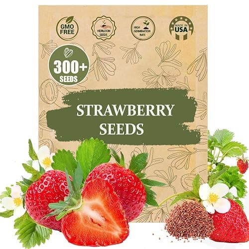 Rare Strawberry Seeds for Planting – 300 Non-GMO Heirloom Seeds - Extra Big, Juicy, Sweet Strawberries - Image 1