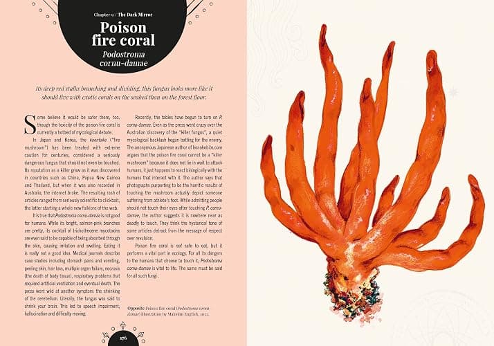 Kew - The Magic of Mushrooms: Fungi in folklore, superstition and traditional medicine (Royal Botanic Gardens, Kew) thumbnail 13