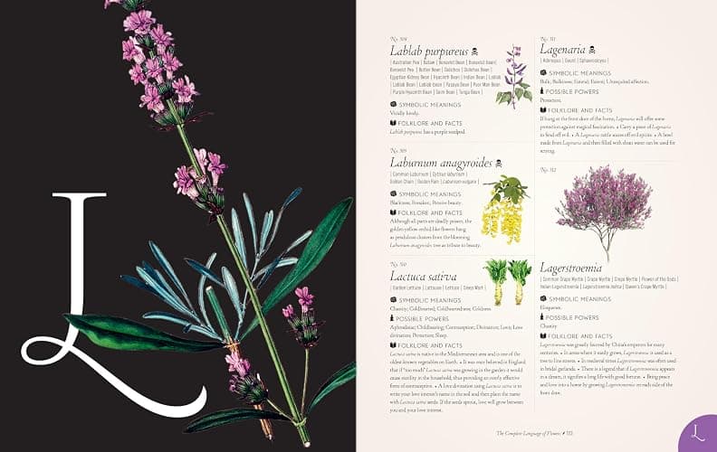 The Complete Language of Flowers: A Definitive and Illustrated History (Volume 3) (Complete Illustrated Encyclopedia, 3) thumbnail 12
