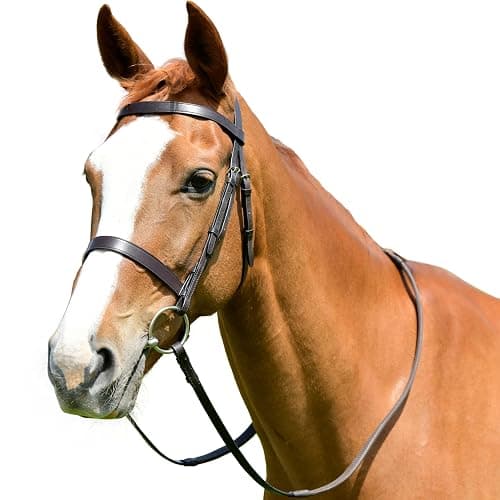 Kincade Classic Flat Hunt Bridle with Reins, Brown, Full - Image 1