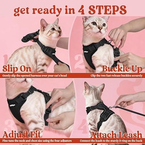 rabbitgoo Cat Harness and Leash for Walking, Escape Proof Soft Adjustable Vest Harnesses for Cats, Easy Control Breathable Reflective Strips Jacket, Black, S thumbnail 8