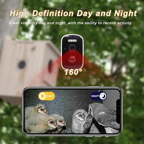 Solar-Powered Smart Owl House with Camera - Outdoor Hanging Wooden Nesting Box, Real-Time View & Motion Detection, for Garden for 2.4g WiFi Coverage Area, for Owl Lovers thumbnail 6