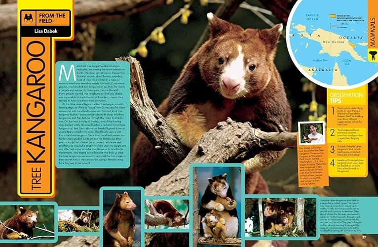 National Geographic Kids Animal Encyclopedia, 2nd Edition: 2,500 Animals with Photos, Maps, and More! (NGK Encyclopedias) thumbnail 3