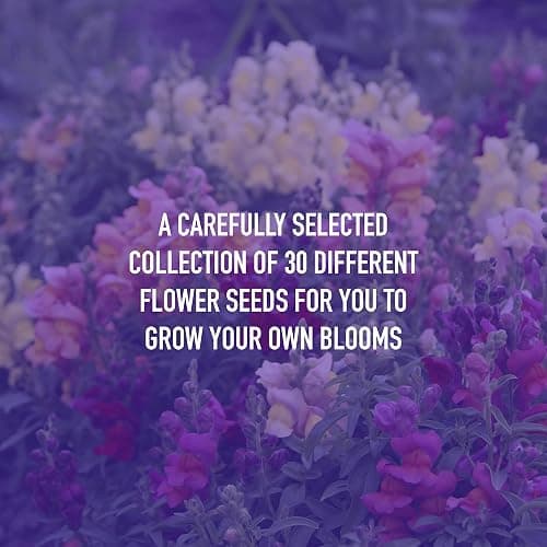 Scott&Co. Flower Seed Variety Pack - 30 Different Varieties of Flower Seeds to Grow Your Own. Butterfly and Bee Attracting, Grow Indoor and Outdoor. Christmas Gifts for Women and Men. thumbnail 6