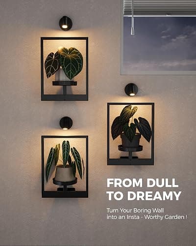 Bamworld Plant Stand with Lights Wall Planters for Indoor Plants Hanging Planter for Indoor Plants Plant Stand Indoor Wall Decor 3 Pack for Living Room Outdoor Entryway（3 spotlights） thumbnail 3