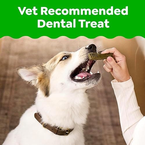 Greenies Regular Dental Dog Treats, Original Chicken Flavor, 36 Count | Vet-recommended, cleaner teeth after 28 days, cleans to gumline, for dogs 25-50 lbs, original chicken flavor thumbnail 2