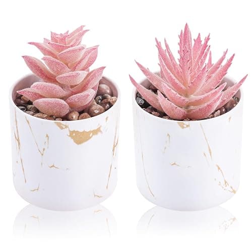 Der Rose 2 Pack Fake Plants Pink Room Decor for Office Desk Accessories | Mini artificial succulents plants，versatile pink decor ror office desks bathroom shelf vanity decor，perfect gifts for women - Image 1