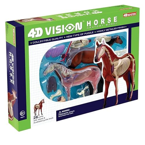Tedco 4D Vision Horse Model thumbnail 2