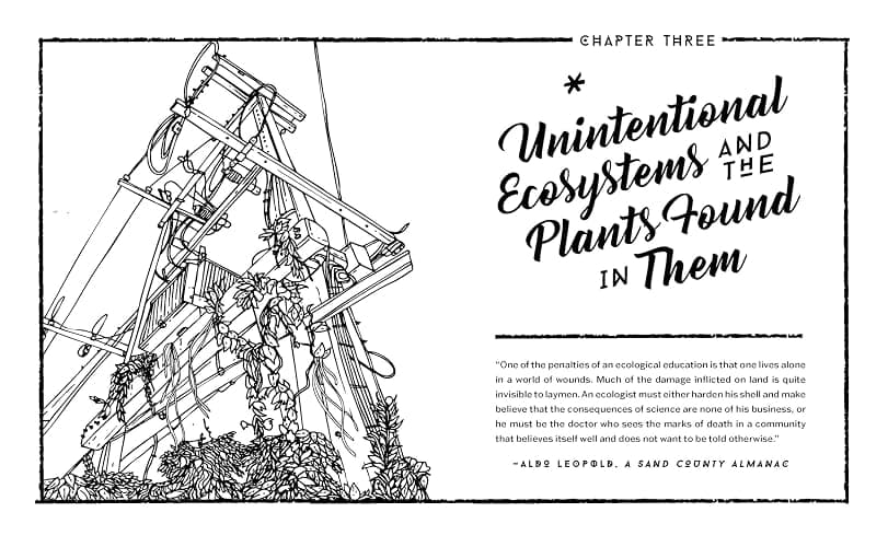 Concrete Botany: The Ecology of Plants in the Age of Human Disturbance thumbnail 10