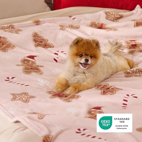 Bedsure Christmas Throw Blanket for Couch - Soft and Warm Gingerbread Throw Blanket Christmas Decoration Gifts for Women, Pink 50"x60" thumbnail 4