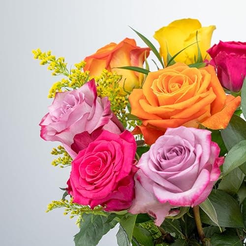Benchmark Bouquets - Roses Bouquet - Fresh Flowers for Delivery - Real Flowers - One Dozen Long Stem Roses Assorted Colors - Gift Roses in a Box - Valentines Day for Her (Glass Vase Included) - Flores thumbnail 3