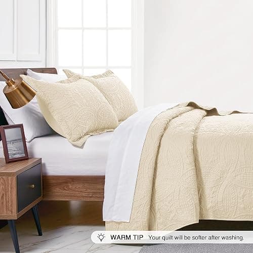 Love's cabin Quilts for Queen Bed Beige Bedspreads Bedding Set - Summer Lightweight Bedspread Comforter - Coin Pattern Bedding Coverlet for All Season - 3 Pieces (1 Quilt, 2 Pillow Shams) thumbnail 4
