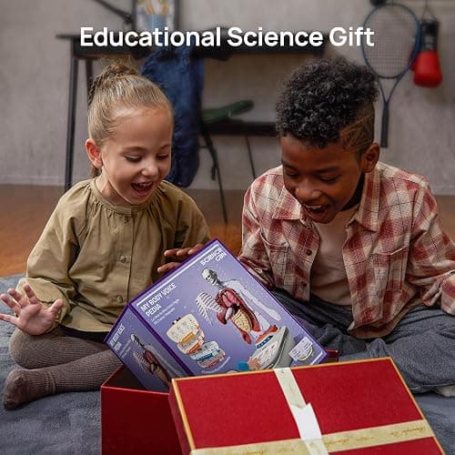 Science Can Human Body Model for Kids, Interactive Human Anatomy Talking Model - 11 Inch Realistic Anatomical Assembly Kit, 15PCS Removable Parts & Guide, Educational STEM Toys Gifts for Kids Aged 6+ thumbnail 2