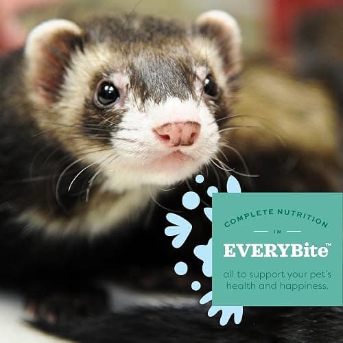 Oxbow Essentials Ferret Food, Vitamin & Mineral Rich Formula for Ferret, High Protein Food & High Fat, Small Animal Pet Products, Oxbow, Made in USA, 4 lb Bag thumbnail 6