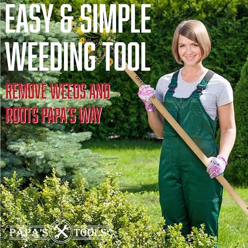 Papa's Tools Weeder - Stand Up Weed Puller Tool Made with Long Wooden Handle - Real Bamboo & 4-Claw Steel Head - Easily Remove Weeds Effortlessly Without The Need to Tug, Bend, Or Flex, thumbnail 6