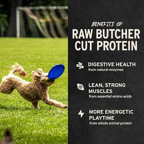 Vital Essentials Single Ingredient Beef Liver Dog Treats, 2.1 oz | Freeze-Dried Raw | Healthy, All Natural Training Treats | Grain Free, Gluten Free, Filler Free thumbnail 4