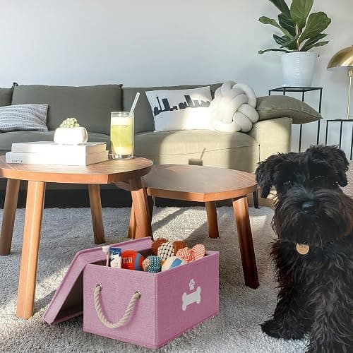 GreenPetopia Dog Toy Basket with Lid, Dog Basket for Toys, Dogs Toy Box with Cotton Rope Handles, Collapsible Storage Bins for Pet Toys, Dogs Storage Organizer, Pink thumbnail 2
