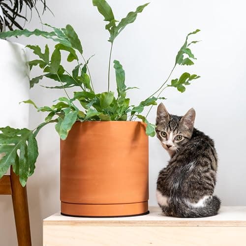 D'vine Dev Terracotta Pots for Plants, 6.5 Inch 8.3 Inch 10 Inch, Round Cylinder Planter Pot with Drainage and Saucer, 40-T-C-0 thumbnail 6