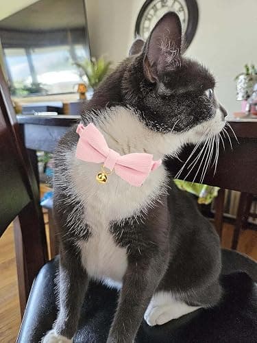 YUDOTE Breakaway Cat Collar with Bow Tie and Bell Adjustable Soft Corduroy Pink Kitten Collars for Girl Cats thumbnail 4
