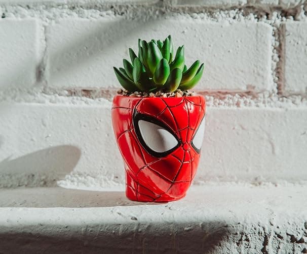 Toynk Marvel Comics Spider-Man Web-Head 3-Inch Ceramic Mini Planter with Artificial Succulent | Small Flower Pot, Faux Indoor Plants thumbnail 5