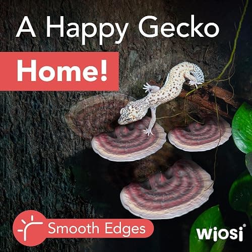 Wiosi 5-Piece Turkey Tail Reishi Mushroom Floating Shelves for Decorating Wall | Shelves for Room Wall | Perfect Floating Shelves for Room Decor | Leopard Gecko Tank Accessories thumbnail 4