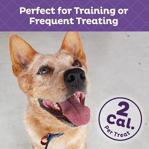 Old Mother Hubbard Wellness Training Bitz Assorted Mix Dog Biscuits, Natural, Training Treats, Three Flavors, Small Size, (8 Ounce Bag) thumbnail 4