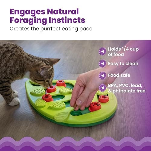 Catstages Nina Ottosson Buggin’ Out Puzzle & Play Cat Puzzle Feeder – Interactive Treat Game for Indoor Cats, Level 2 Slow Feeder Enrichment Toy, 13.9" x 11.5" thumbnail 4