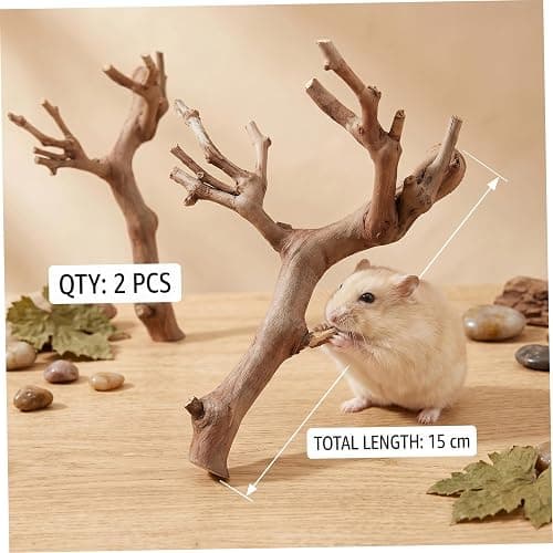 NASSMOSSE 2 Pcs Hamster Toys, Natural Grapevine Climbing Branches Hamster Enrichment Toys, Small Animal Cage Decor & Rat Exploration thumbnail 4
