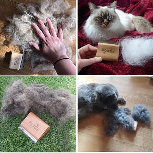 Pilpoil Pack Pro – Brosse Anti-Mue pour Chat et Lapin Poil Court en Bois + Raclette Anti-Poils Animaux – Accessoire de Toilettage – Taille S thumbnail 5