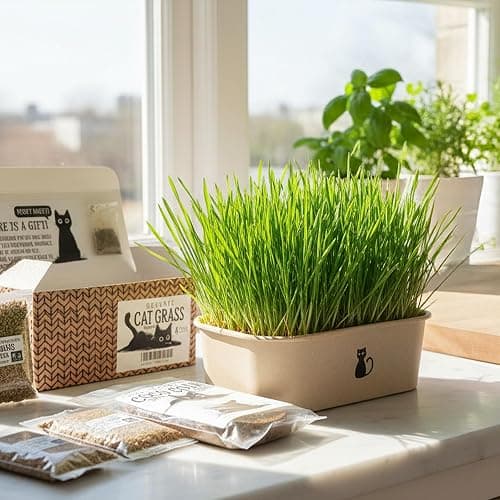 Cat Grass Grow Kit — 4-Batch Indoor Growing Set with Containers, Soil Disks & Seeds | Supports Digestion & Hairball Control | Ready to Grow, No Mess thumbnail 4