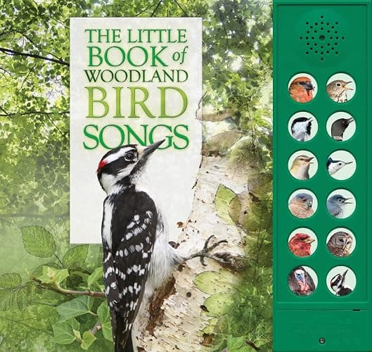 The Little Book of Woodland Bird Songs - Image 1