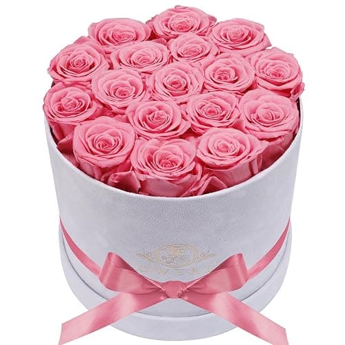 Prifroti 17 Flowers in a Luxury Suede Box, Birthday Gifts for Women, Preserved Flowers, Mothers Day Roses Gift for Mom, Light Pink - Image 1