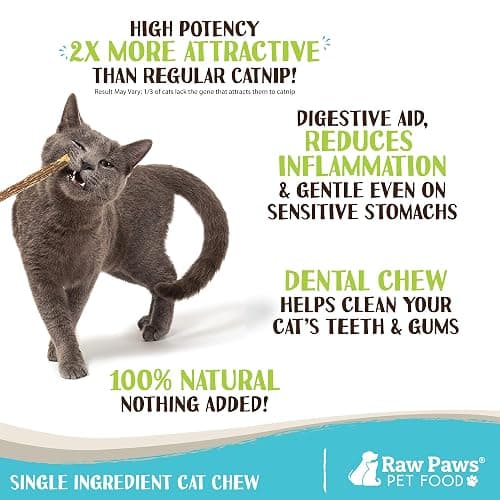 Raw Paws Silvervine Sticks for Cats (30-Count) - Dental Cat Chew Stick | Catnip Alternative - Matatabi Cat Toy - Silver Vine Sticks - Indoor Cat Enrichment & Chewing thumbnail 2