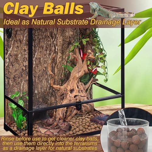 ZeeDix Reptile Substrate Leca Balls - 10LBS Organic Expanded Clay Pebbles, Bioactive Terrarium Bedding for Reptile Tank Habitat Accessories, Ideal for Bearded Dragon, Tortoise, Gecko, Snake & Frog thumbnail 3