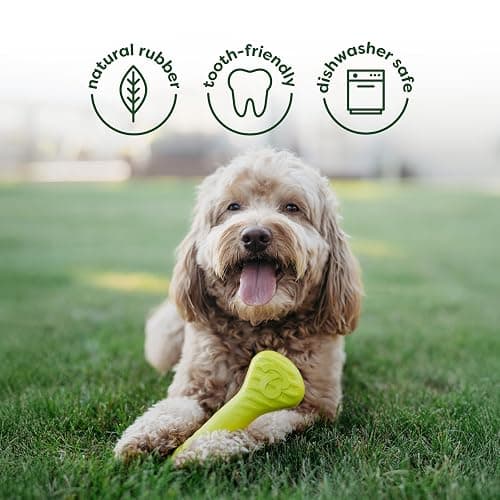 Benebone 4-Pack Ball/Bone/Bacon Wishbone/Fishbone Medium thumbnail 4