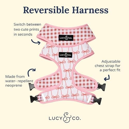Lucy & Co. Cute Reversible Dog Harness Walking Halter - Best Designer Pet Harnesses for XS - XL Dogs - Padded Adjustable Vest for Easy Walking (X-Small, Ballet Bows - White & Pink Bows) thumbnail 2