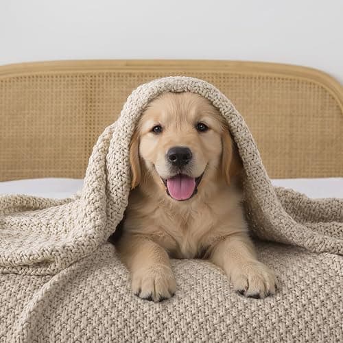 WDCOZY Chunky Cable Knit Throw Blanket Super Soft Warm Knitted Throw Blanket for Couch, Sofa, Chair, Bed Lightweight Breathable Cozy Comfortable Home Decorative Camel Tan Beige 50x60 Inches thumbnail 5