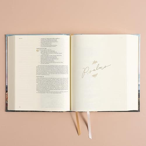 CSB Notetaking Bible, Hosanna Revival Edition, Roan Mountain Cloth Over Board, Black Letter, Single-Column, Journaling Space, Reading Plan, Easy-to-Read Bible Serif Type thumbnail 5