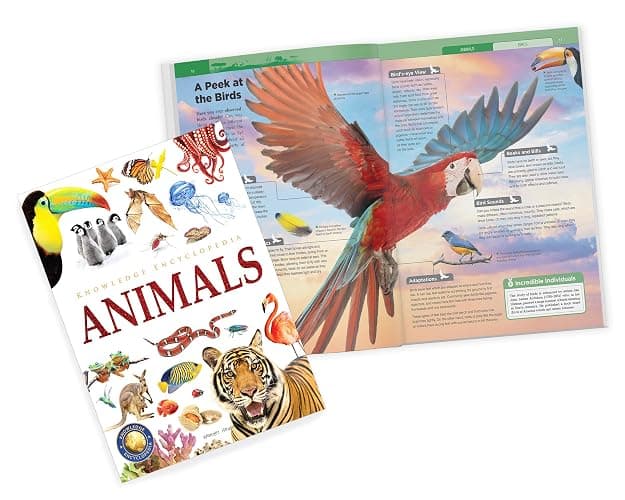Animals: Collection of 6 Books: Knowledge Encyclopedia For Children (Box Set) thumbnail 6