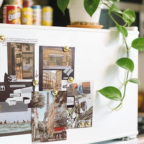 Janvelle Gold Fridge Magnets 12PCS Small Round Magnet for Refrigerator | 0.71inch Cute Photo Decorative Magnet Set Mini Magnets for Office Whiteboard Decor thumbnail 4