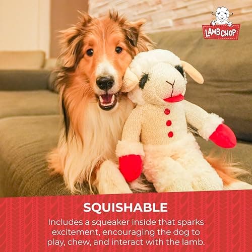 MULTIPET Officially Licensed Lamb Chop Plush Dog Toy, Jumbo, 24-Inch, White (48388) thumbnail 4