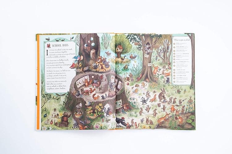 If You Go Down to the Woods Today: A Search and Find Adventure (Brown Bear Wood) thumbnail 3