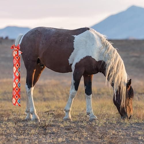 Bulyoou 4 Pcs Horse Tail Bag Stretchy 22" Breathable with 2 Strands to Keep Clean and Protected Grooming Supplies thumbnail 6
