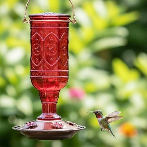 More Birds Red Jewel Hummingbird Feeder, Glass Bottle, 5 Feeding Ports and 20-Ounce Nectar Capacity (76IN) thumbnail 2