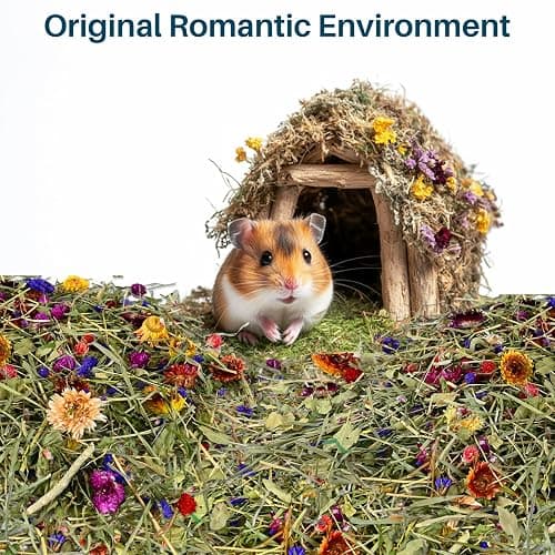 Sukh 150G Hamster Bedding - Flowers & Herbs Odor Control Dwarf Gerbil Robo Katy Habitat Decor Hamster Forage Gerbils Mice Lemmings Degus or Other Small-Sized Pets thumbnail 6